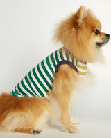 Pomeranian wearing our Daniel Yellow and Green Striped Organic Cotton Dog Bodysuit Vest lateral view