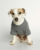 Eva Grey Organic Cotton Basic Dog T-shirt