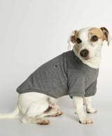 Eva Grey Organic Cotton Basic Dog T-shirt