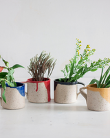 Handmade ceramic mugs with flowers inside