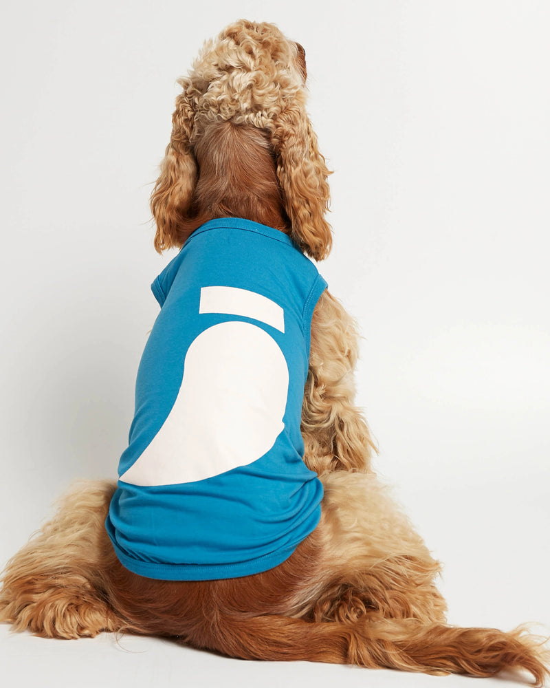 American Cocker wearing our Imi Blue Organic Cotton Dog Bodysuit Vest back view