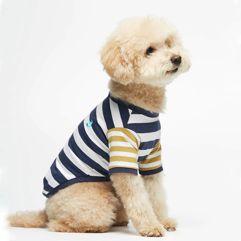 Bichon Frize wearing our Ellsworth Navy Blue & Yellow Striped Organic Cotton T-shirt lateral view