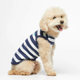 Bichon Frize wearing our Ellsworth Navy Blue bodysuit lateral view