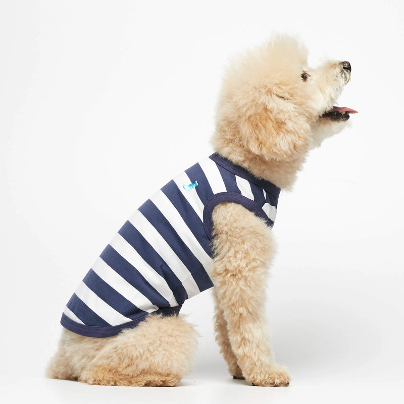 Bichon Frize wearing our Ellsworth Navy Blue bodysuit lateral
