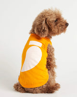 Caniche Toy wearing our Imi Yellow Organic Cotton Dog Bodysuit Vest back view
