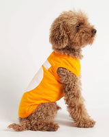 Caniche Toy wearing our Imi Yellow Organic Cotton Dog Bodysuit Vest lateral view