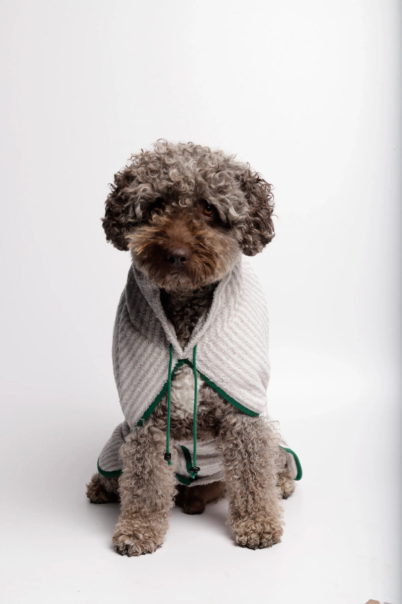 Caniche wearing our Peggy Grey Organic Cotton Towel Dog Bathrobe