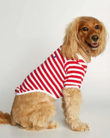 Cocker wearing our David Red Organic Cotton Dog T-shirt