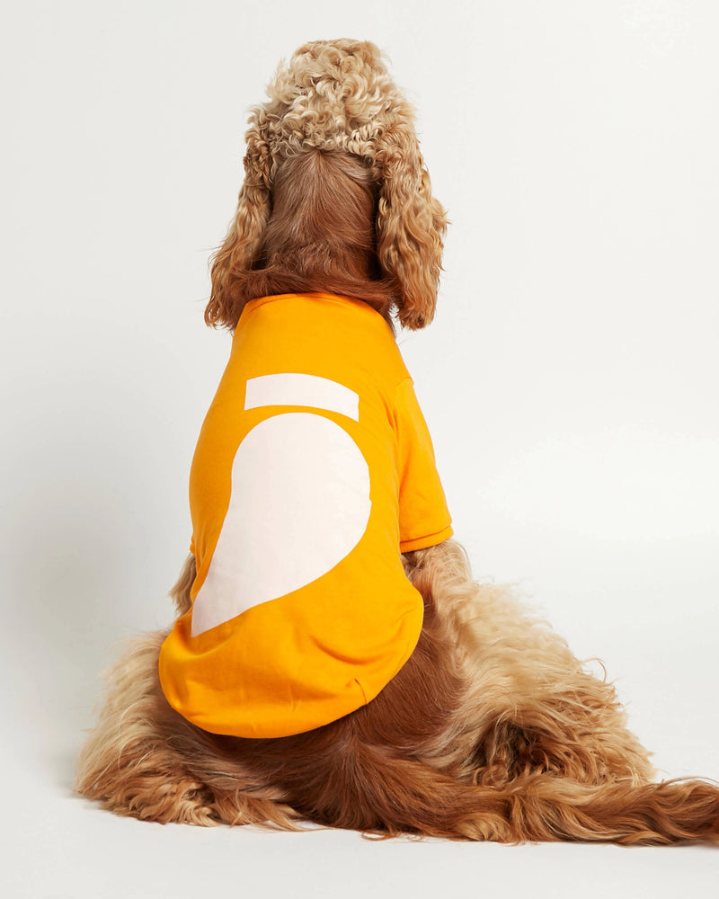 Cocker wearing our Imi Yellow Organic Cotton Dog T-Shirt back view