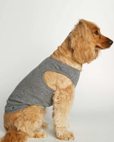 Cocker wearing our Josef Grey Organic Cotton Dog Bodysuit Vest lateral view
