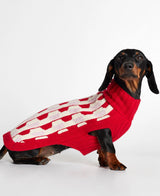 Dachshund wearing our Donald Red & Pink Merino Wool Dog Sweater lateral view
