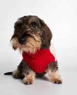 Dachshund wearing our René Red Merino Wool Dog Sweater