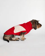 Dachshund wearing our René Red Merino Wool Dog Sweater lateral view