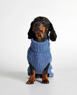 Dog wearing our René Blue Merino Wool Dog Sweater