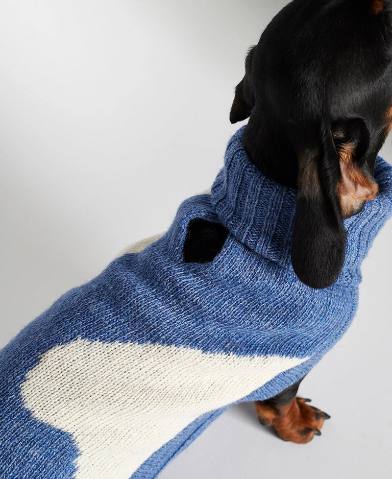 Dog wearing our René Blue Merino Wool Dog Sweater close-up