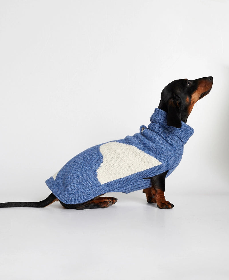 Dog wearing our René Blue Merino Wool Dog Sweater lateral view