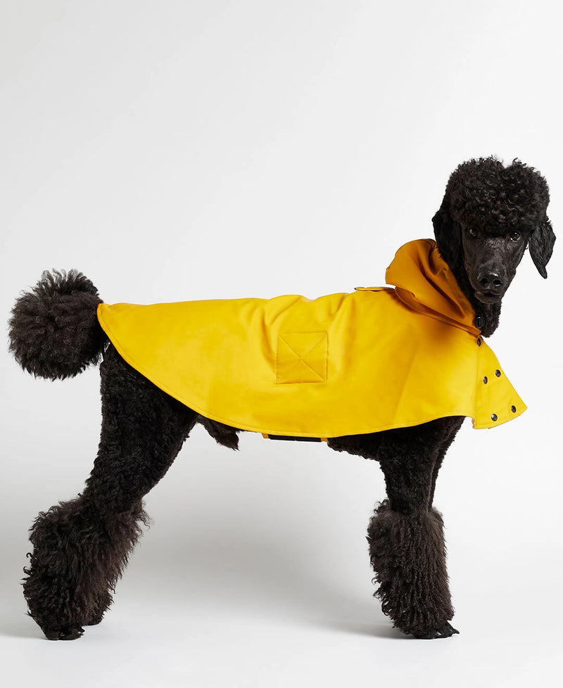 William Yellow Waterproof Dog Rain Cape
