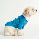 Lasha Apso wearing our Imi Blue Organic Cotton Dog T-Shirt lateral view