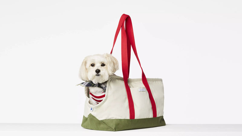 Lhase Apso in our Constantin forest green and red