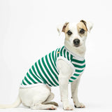 Parson Russell Terrier wearing our Daniel Green Striped Organic Cotton Dog Bodysuit Vest lateral view