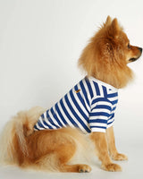 Pomeranian wearing our David Deep Blue Organic Cotton Dog T-shirt lateral view
