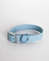 Rose blue dog collar