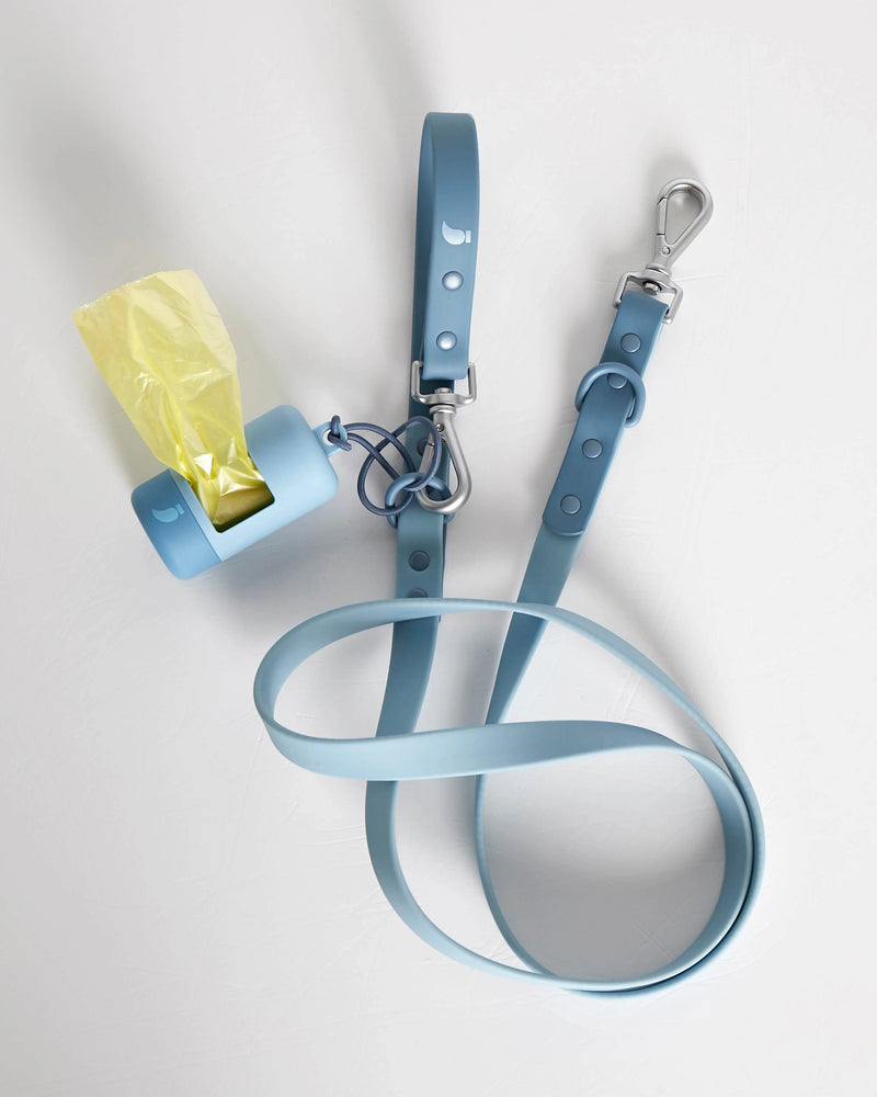 Rose blue dog poop waste bag holder on a blue leash