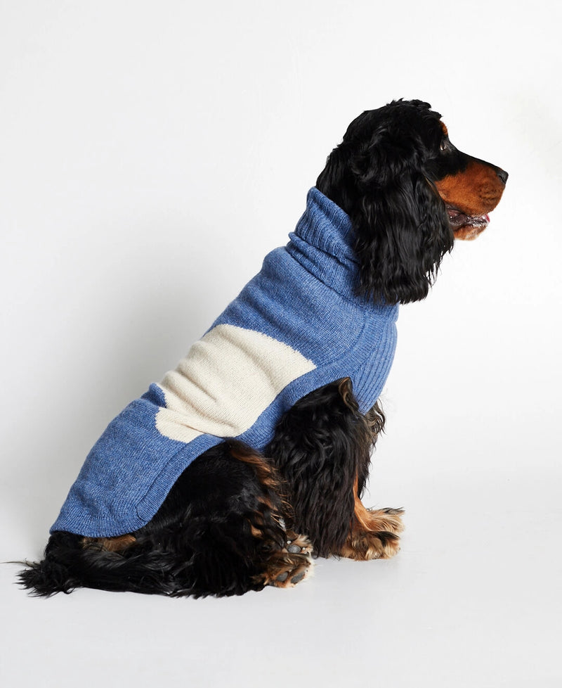Setter wearing our René Blue Merino Wool Dog Sweater lateral view