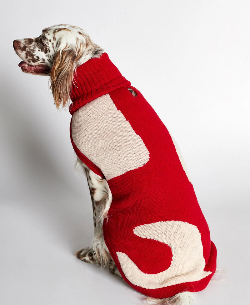 Merino wool 2024 dog sweater