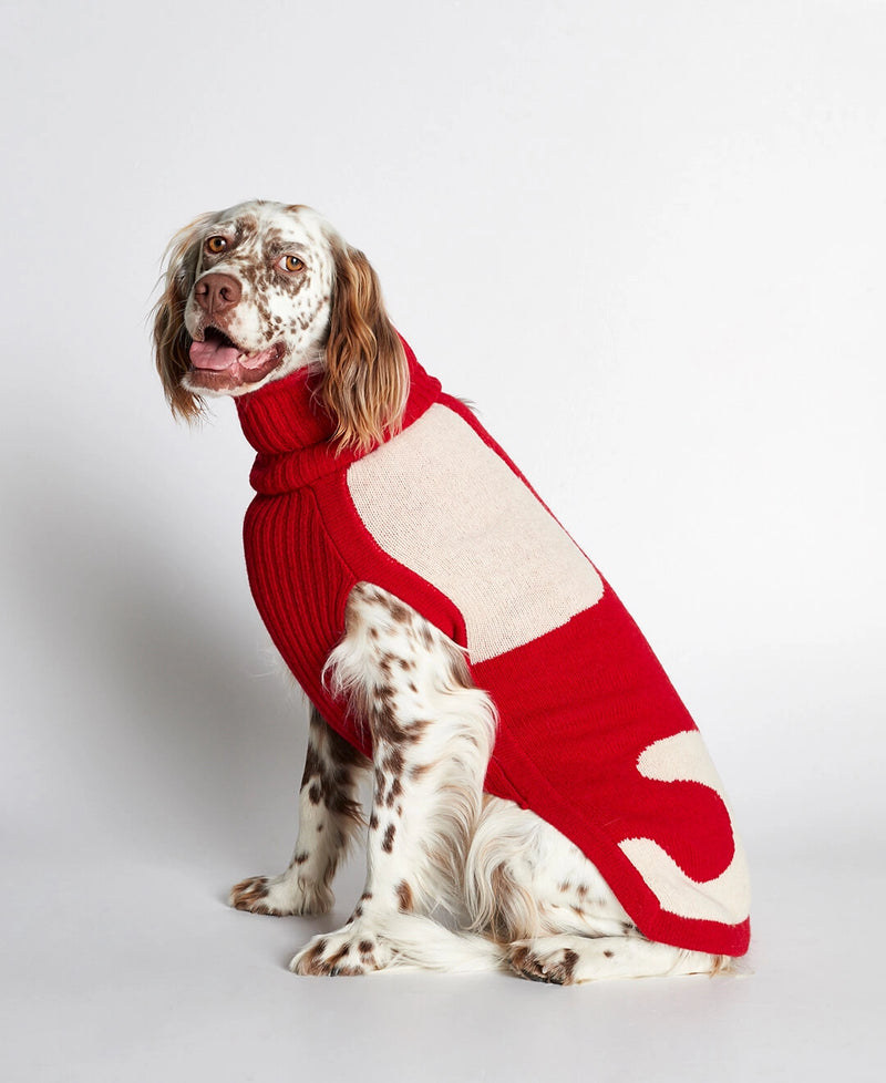 Setter wearing our René Red Merino Wool Dog Sweater lateral view