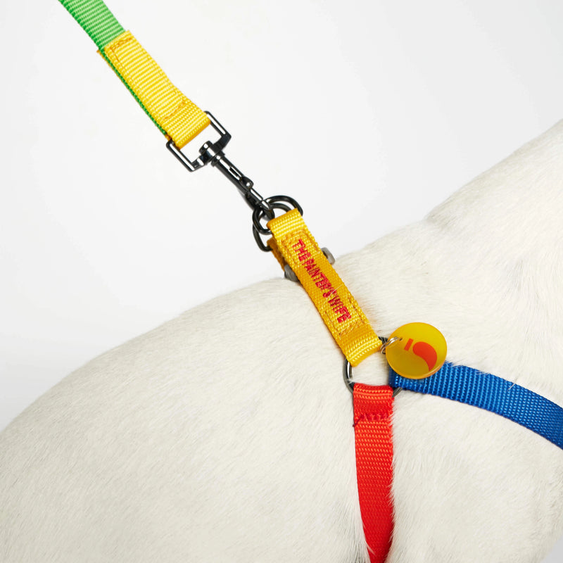 Sonia Yellow & Red Dog Harness with leash detail