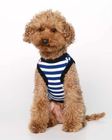 Welsh Terrier wearing our Daniel Green Striped Organic Cotton Dog Bodysuit Vest