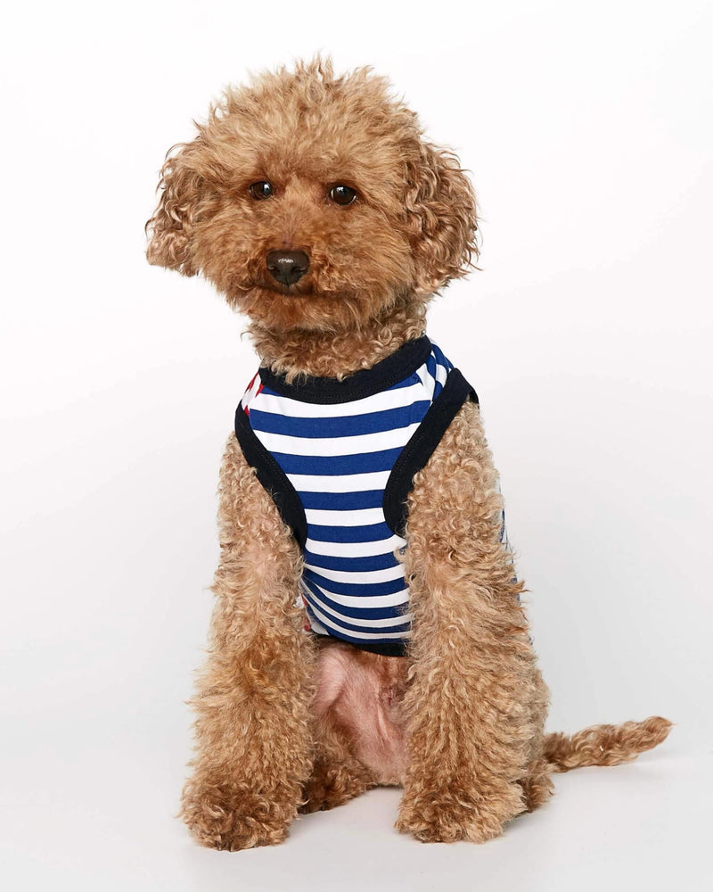 Welsh Terrier wearing our Daniel Green Striped Organic Cotton Dog Bodysuit Vest