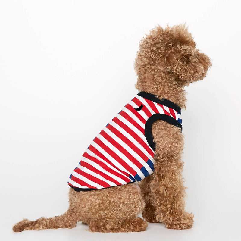 Welsh Terrier wearing our Daniel Green Striped Organic Cotton Dog Bodysuit Vest lateral back view