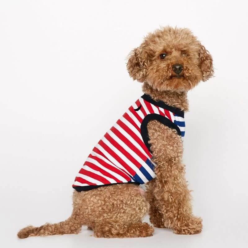Welsh Terrier wearing our Daniel Green Striped Organic Cotton Dog Bodysuit Vest lateral view