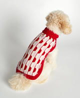 White toy poodle wearing our Donald Red & Pink Merino Wool Dog Sweater back view