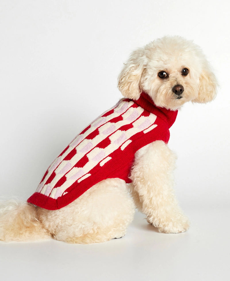 White toy poodle wearing our Donald Red & Pink Merino Wool Dog Sweater lateral view