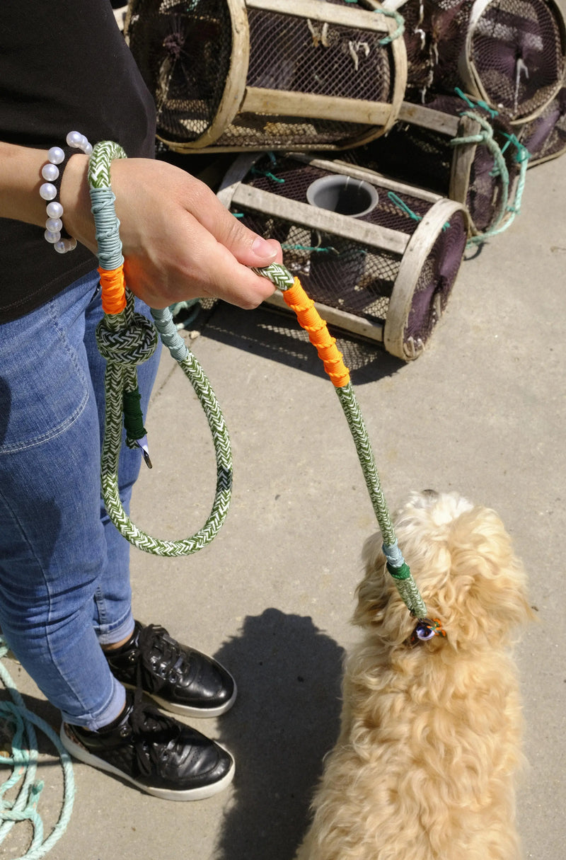Woman carries her dog with our Green Corme classic dog leash