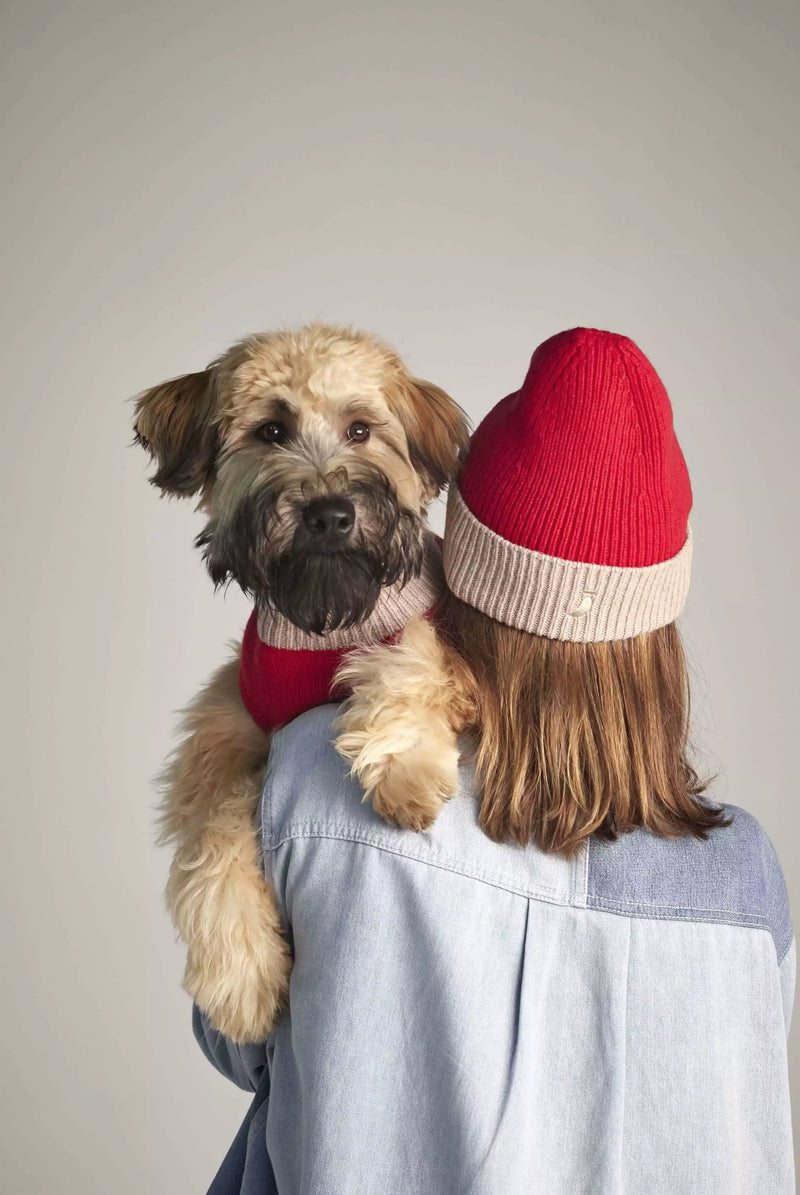 Woman wearing our Wool and Cashmere Red and white Beanie and a dog in her arms