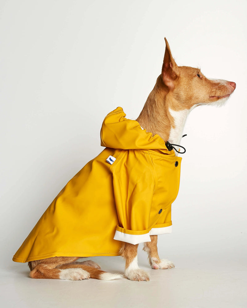 Sarah Yellow Recycled Polyester Dog Raincoat