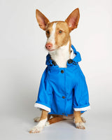 Sarah Blue Recycled Polyester Dog Raincoat