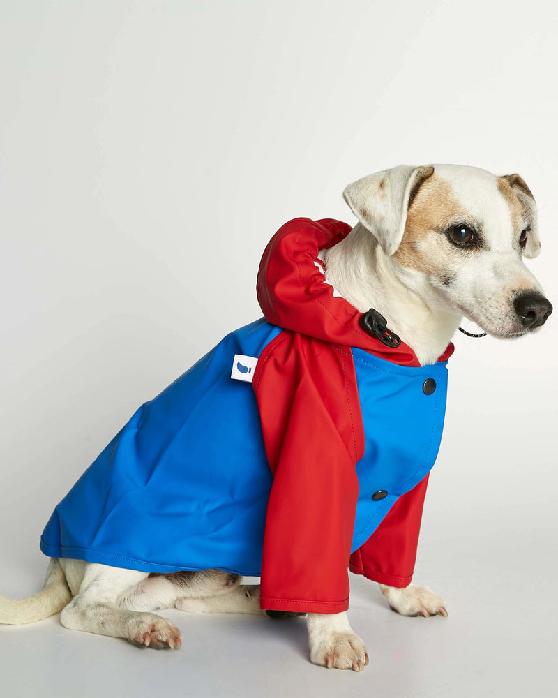 Sarah Blue & Red Recycled Polyester Dog Raincoat