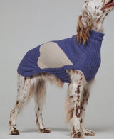 Dogs wearing our René Blue Merino Wool Dog Sweater