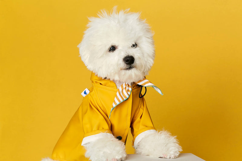 Sarah Yellow Recycled Polyester Dog Raincoat